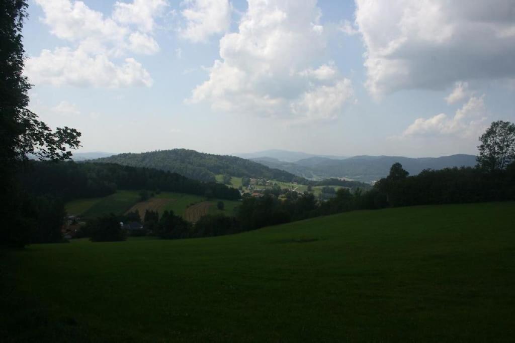 Ferienhaus Toso Freyung Buitenkant foto
