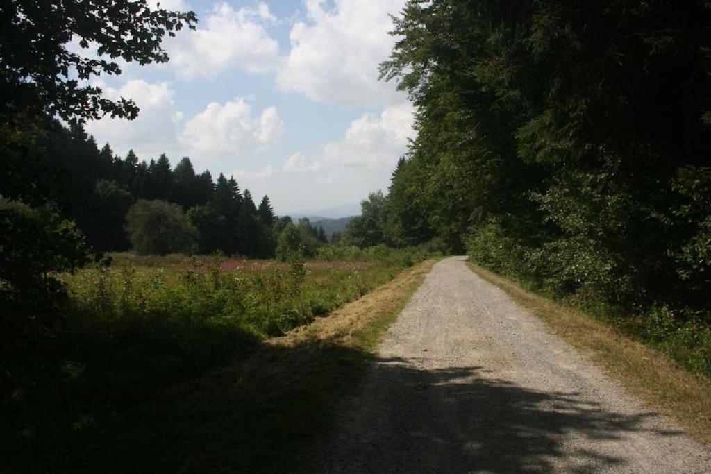 Ferienhaus Toso Freyung Buitenkant foto
